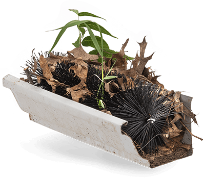 brush gutter protection