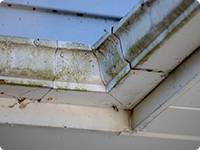 repairing molding gutters in Wisconsin