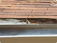 soffit/fascia rot repair in Wisconsin