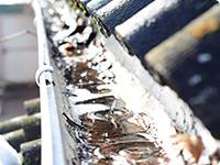 gutters with stagnant water in Wisconsin